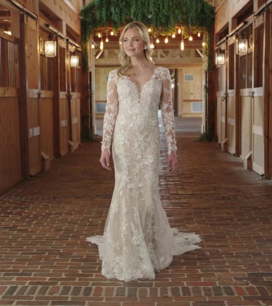 D3673 size:16  Primary Photo